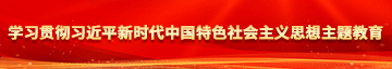 插逼性爱视频学习贯彻习近平新时代中国特色社会主义思想主题教育